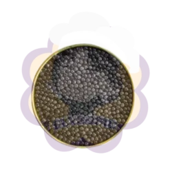 Premium Osetra Caviar in Vermont